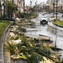 가로수약국 이미지