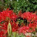 박귀월머리마을 이미지