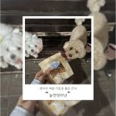 놀면멍하냥 | 강아지 머핀 간식 ❛놀면멍하냥❜ 기호성 좋은 애견 컵케이크 후기