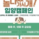 놀다가시개 이미지