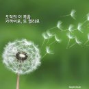 한빛교회 네이버블로그