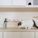 Playground 이미지