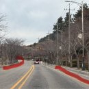 도호농장 이미지