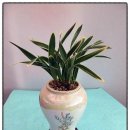 진명농원 이미지