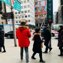 파이안 이미지