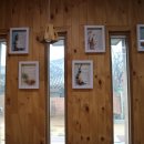 홍매뜨락협동조합 이미지