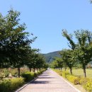 추풍령급수탑공원 화장실 이미지