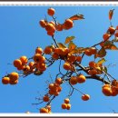 군민회관2 이미지