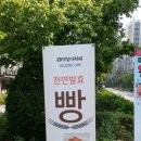 퀸타일아저씨 이미지