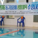 2016 동구청장배 생활체육 수영대회 이미지