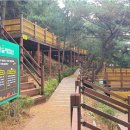 숲속의야영장 이미지