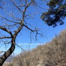 사림동311 | [창원사림동밥집 | brunch&amp;meal] 등산 후 먹는 Of-Sella (2021.02.19)