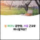 봄 피크닉 끝판왕, 서울 근교로 떠나볼까요?