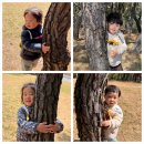 4월 셋째주 생태놀이(용담정 봄놀이/솔방울숲 내나무 안아보기/개미,개구리,지렁이와의 만남/귀리논 걷기/맨발걷기/교통안전교육/쌓기놀이) 이미지