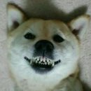 굿모닝 이미지