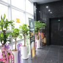 이글스크린골프장 이미지