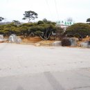 대박김치찌개삼겹살 이미지