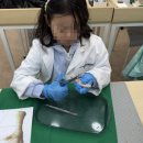 과학실험 이미지