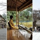 현재의 현 이미지