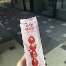 희망찬 20대에서 인류애상실한 30대가 되기까지