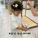 해피패럿 | [부산 실내 아기랑 가볼만한 곳] 앵무새카페 리프패럿 롯데마트광복점