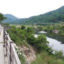 어치교 Daum카페