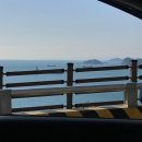 BUSAN : 부산 영도 데이트 | 와글와글 | 피아크 카페 | 스폰지밥 팝업