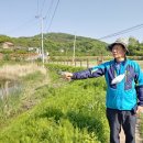 궁현2리 이미지