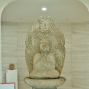 경북대학교 박물관 이미지