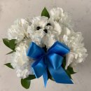 스페셜 퍼피 케이크 이미지