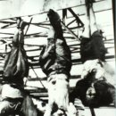 옛날세상 이미지