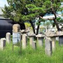 남양도호부 선정비 이미지