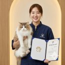 케이지정보기술 | [공지] 꿈을 쫓는 미용사들을 위한 필수 가이드: 역량과 교육 과정 선택