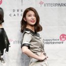 다미 이미지