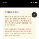 퀸 애견 이미지