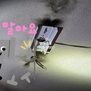 성광전기조명 - 안성시 중앙로 72-1 | 성광전기조명