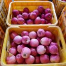 욱이네 농장 이미지