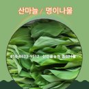 자포농장 이미지