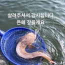 대리 | 창원 점집 14차 대리 방생 후기