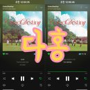 [다홍] 위키미키 Weki Meki [CoinciDestiny] 스트리밍 인증 이미지