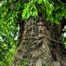 검한1길 이미지