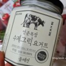 베지포유 이미지