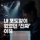 포도알 구경도 못 하는 진짜 이유, ‘콘서트 대관 부족 사태’ 총정리 🏟️