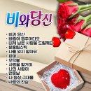 유나 - 비와당신&바람아 멈추어다오&내게 남은 사랑을 드릴께요&분홍립스틱&나를 잊지 말아요&파파&모닥불&사랑을 할거야&나의 사람아 이미지