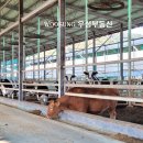 한림축사 이미지