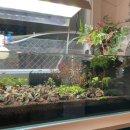 착한충전소 이미지