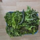 다솜민박 이미지