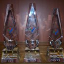 제3회 서울시태권도협회장기 품새 선수권 대회 트로피 이미지