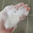 아우어독 이미지