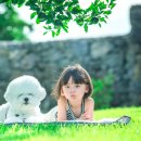 라온애견펜션 이미지